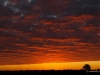 Australijski zachód słońca 1280 x 800 pixel