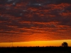 Australijski zachód słońca 1920 x 1080 pixel