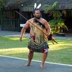 Te Puia – widowisko Maorysów w Rotorua w Nowej Zelandii